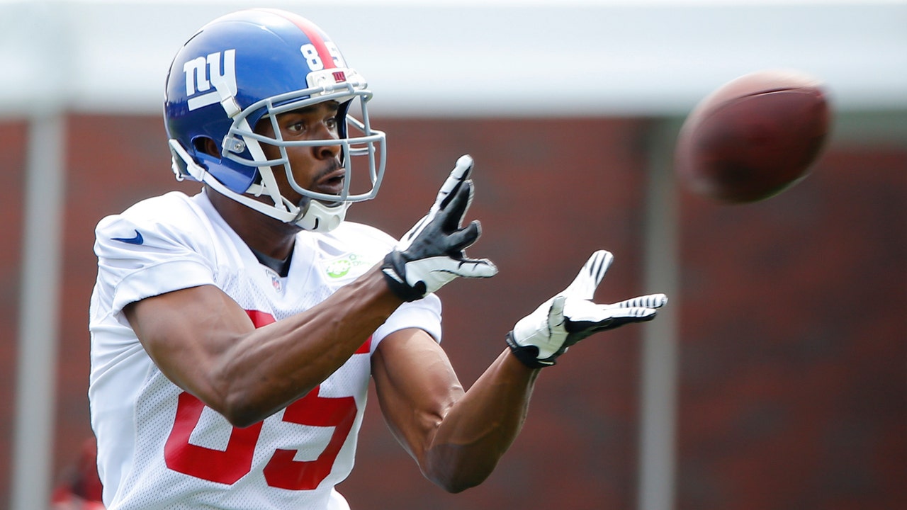 Jaguars add WRs Ramses Barden, Chad Hall